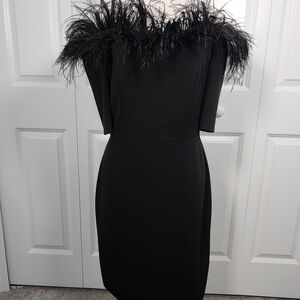 Elegant Black Feather-Trimmed Dress